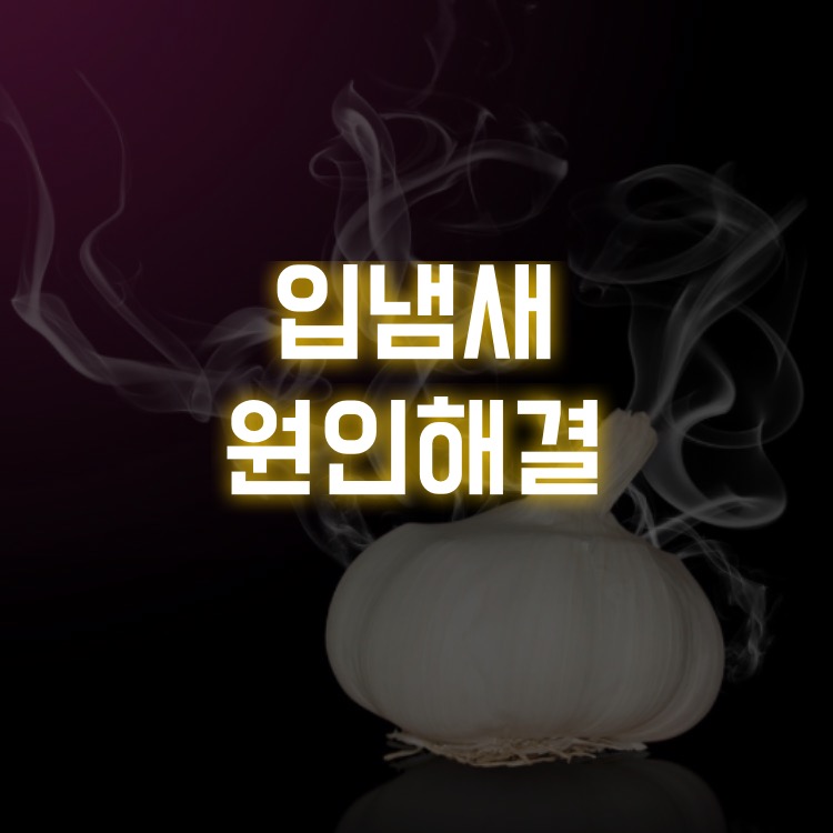 입냄새-원인-해결