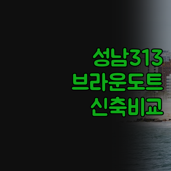 성남 313 에비뉴 브라운도트 호텔 ..