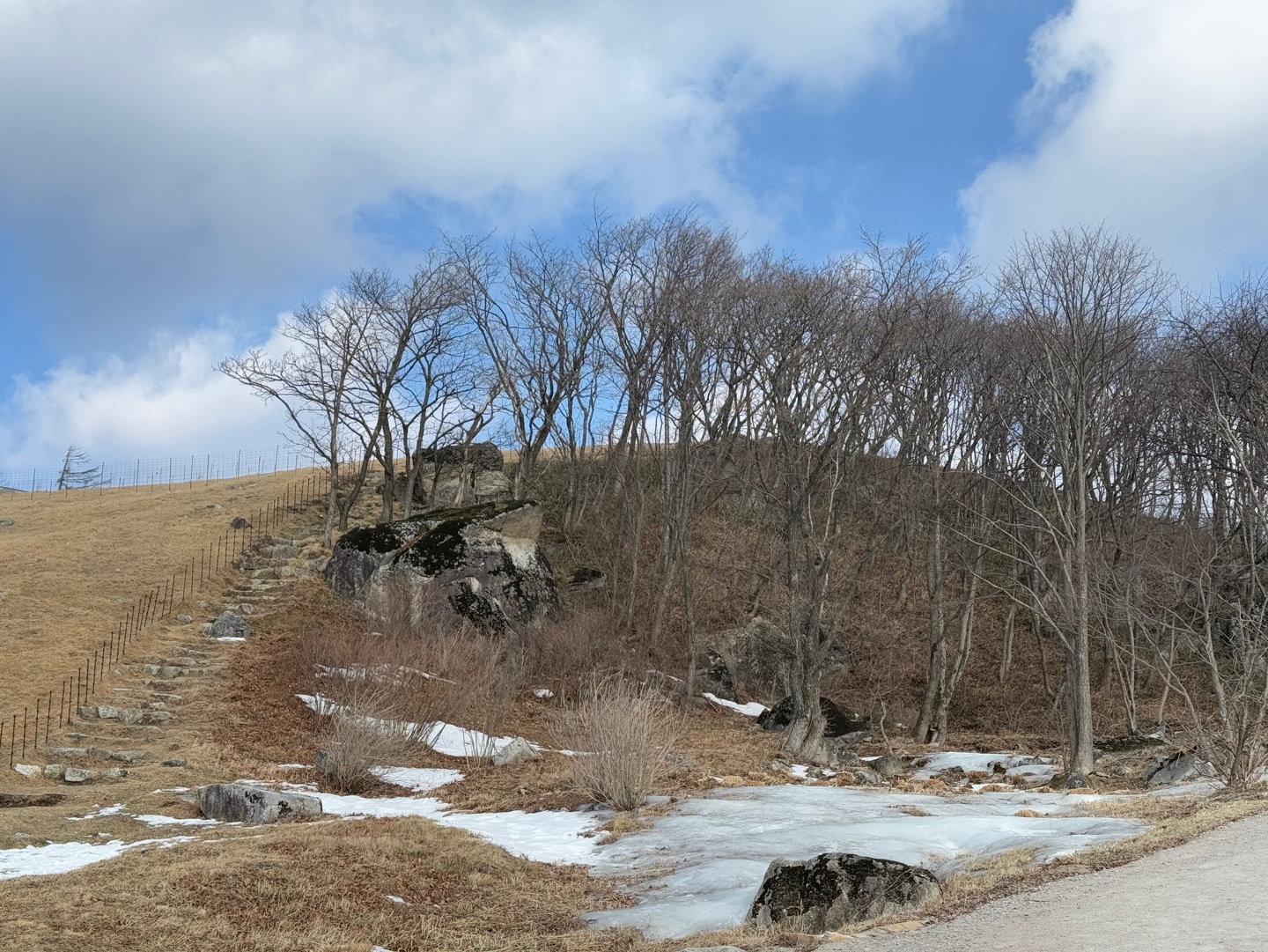 대관령 양떼목장