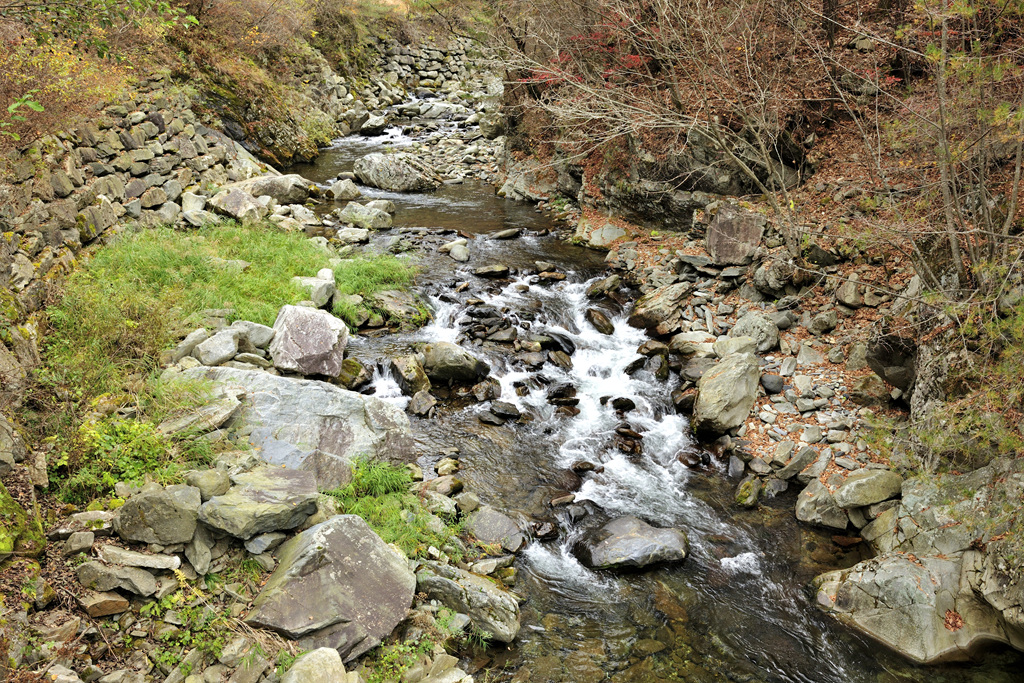 정선 가리왕산 계곡: 숲속 힐링의 대명사