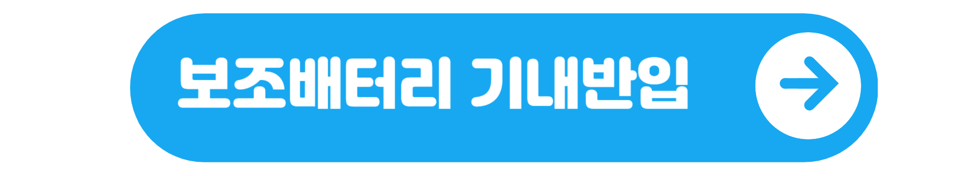 보조배터리 기내반입