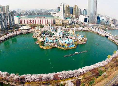 송파 벚꽃