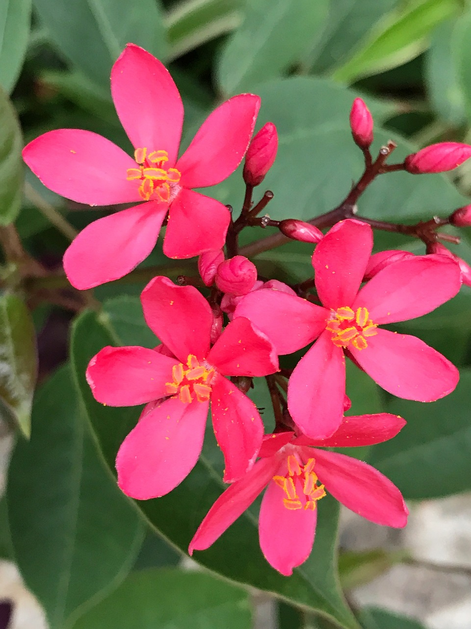 생애최초 취득세 감면