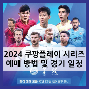 쿠팡플레이 시리즈