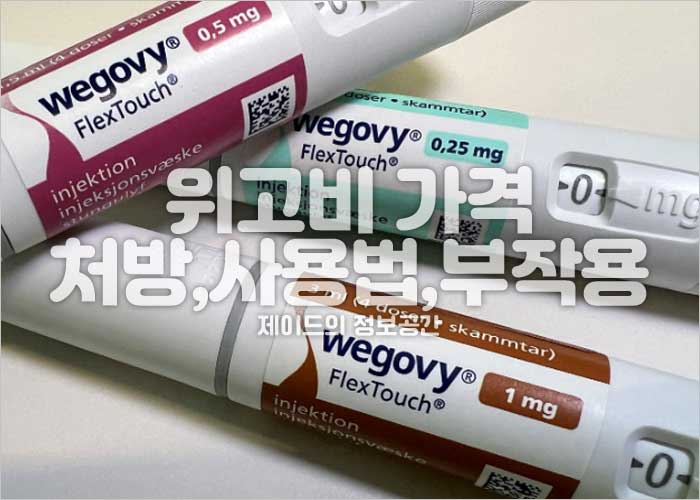 위고비 가격, 국내 출시, 처방, 사용법, 부작용