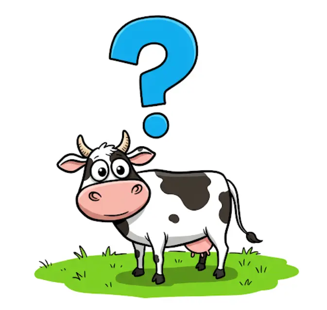 대장내시경-전-소고기-먹어도