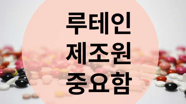 루테인 제품 추천