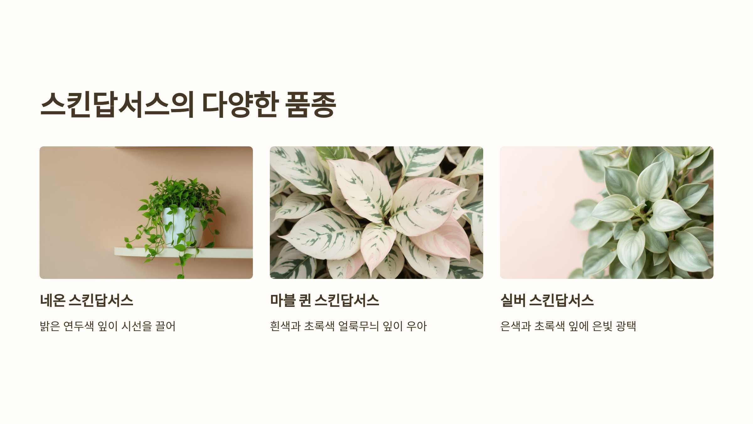 스킨답서스와 관련된 사진입니다.