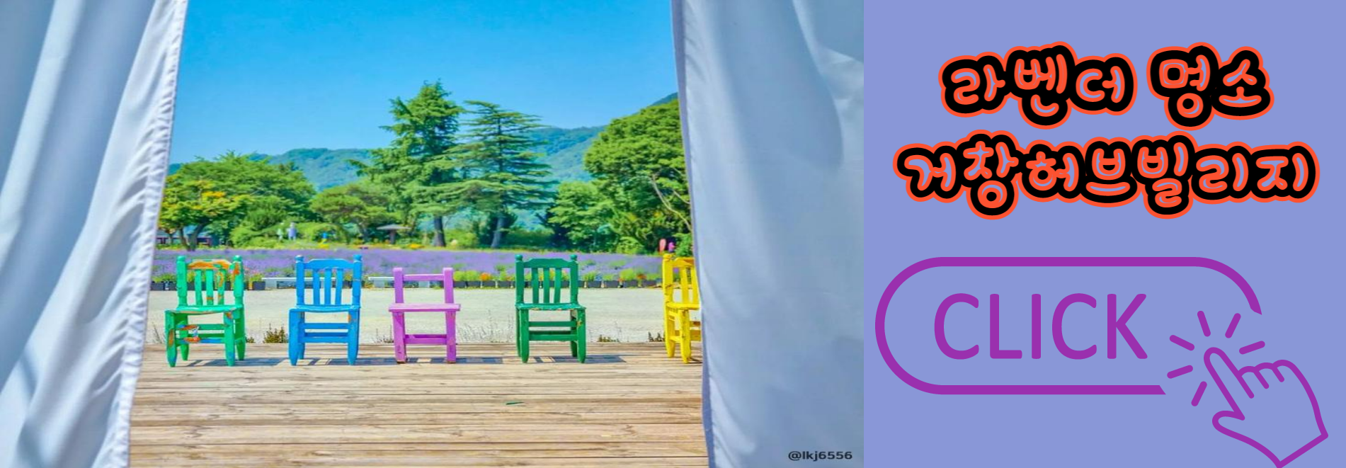 라벤더 명소 개화시기 꽃말