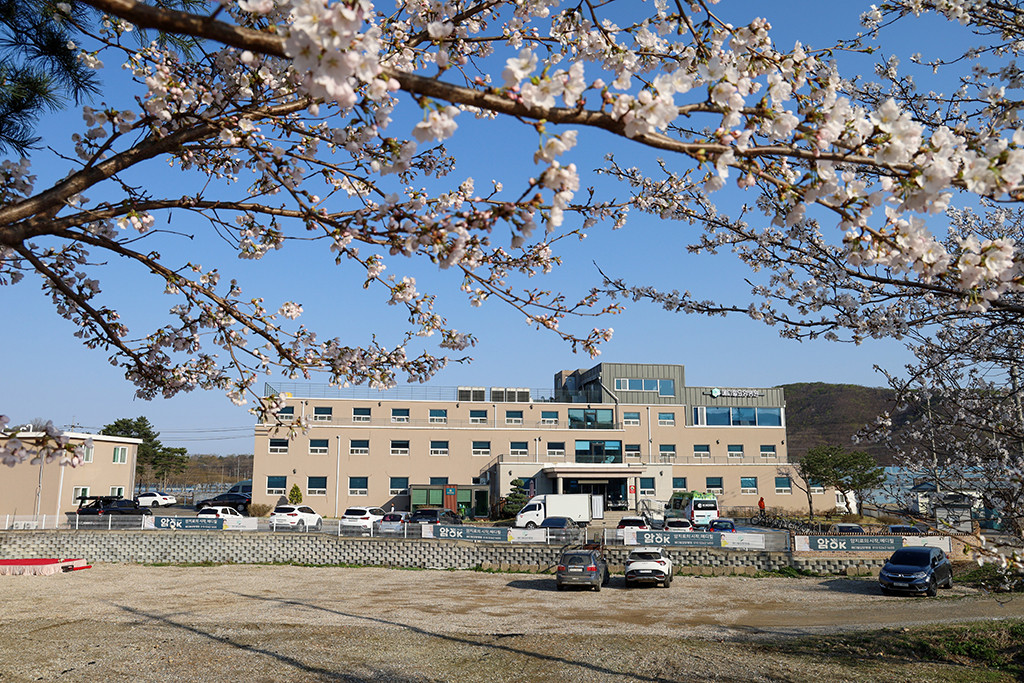 파주시 적성면 정형외과 유명한 곳 잘하는 곳 추천 TOP 5