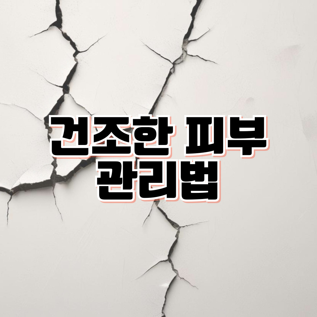 비타민C 고함량 영양제 TOP 5 비교 💊 가격·함량·후기까지 한눈에