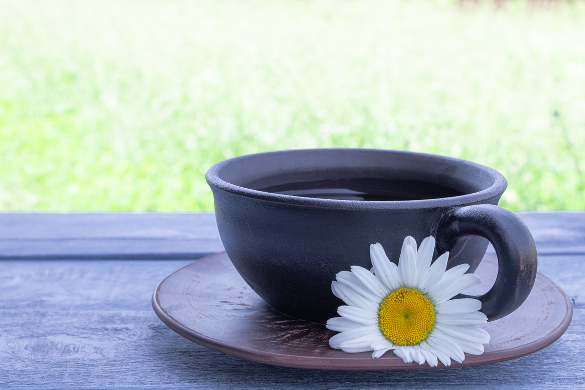 캐모마일차 효능