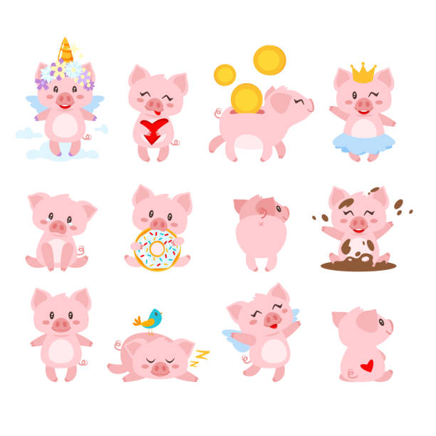 2025년 신용카드 소득공제 최대 혜택 받는 법