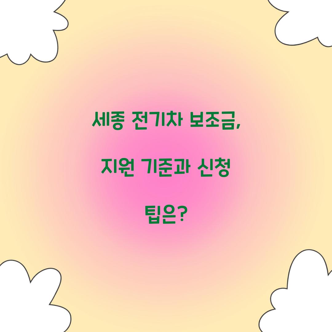 세종 전기차 보조금