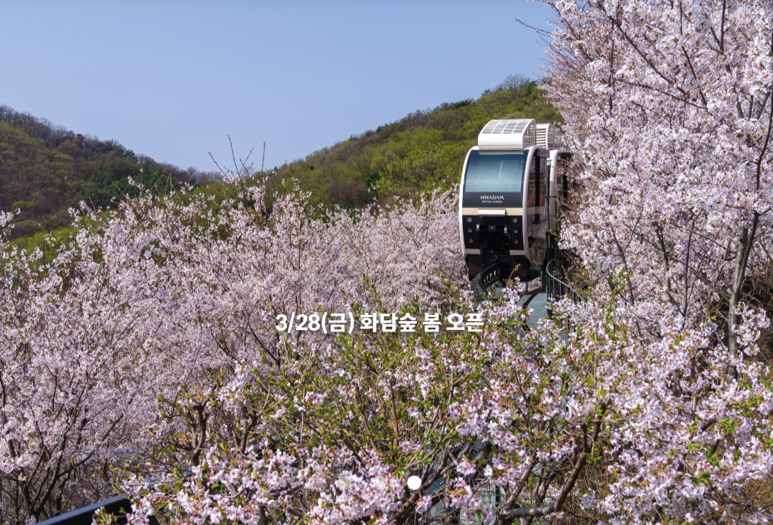 화담숲 예약