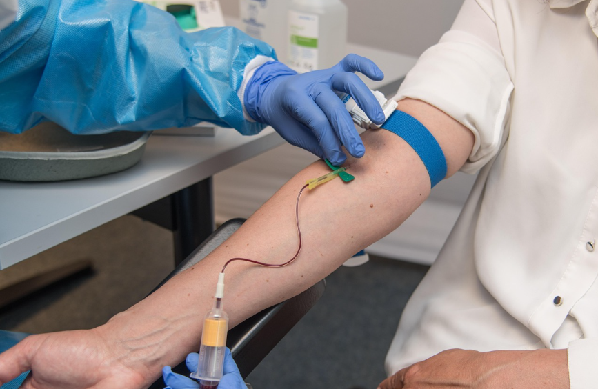 헌혈 관련 사진