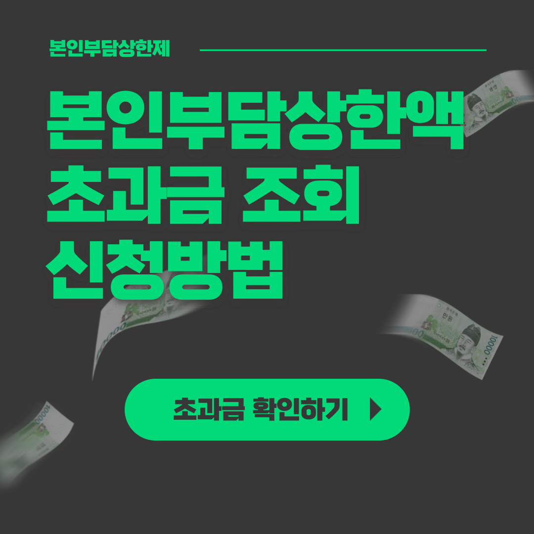 본인부담상한제