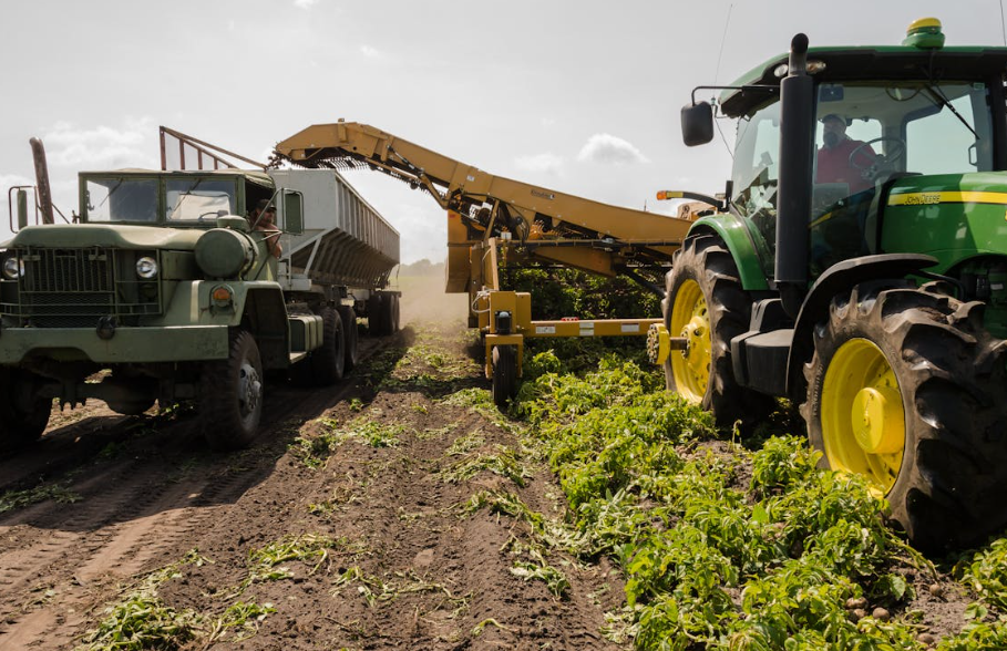 5060세대를 위한 지자체 지원금 종류