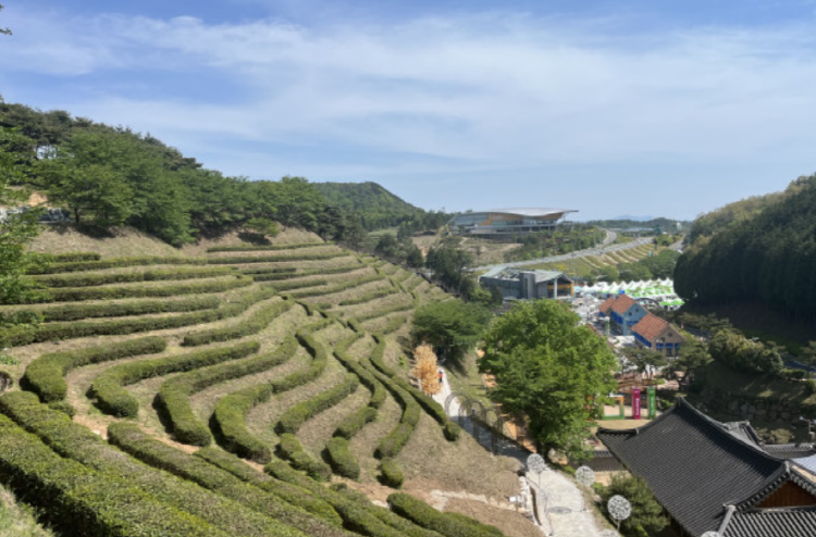 보성 다향대축제