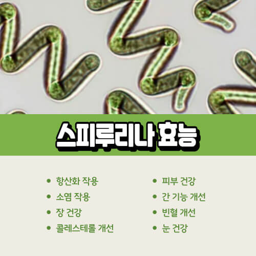스피루리나_효능