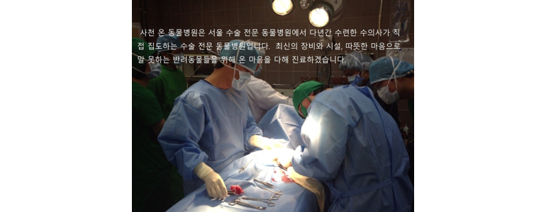 사천시 동물병원