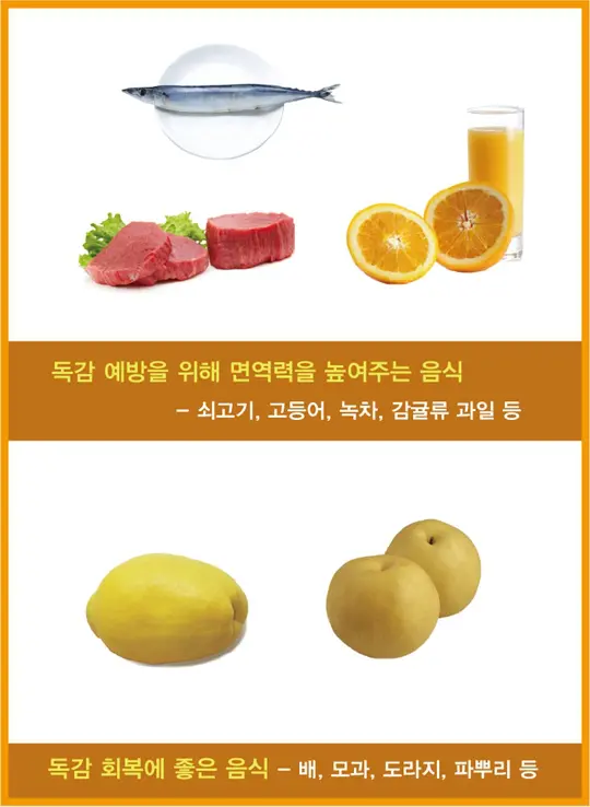 독감에 좋은 음식
