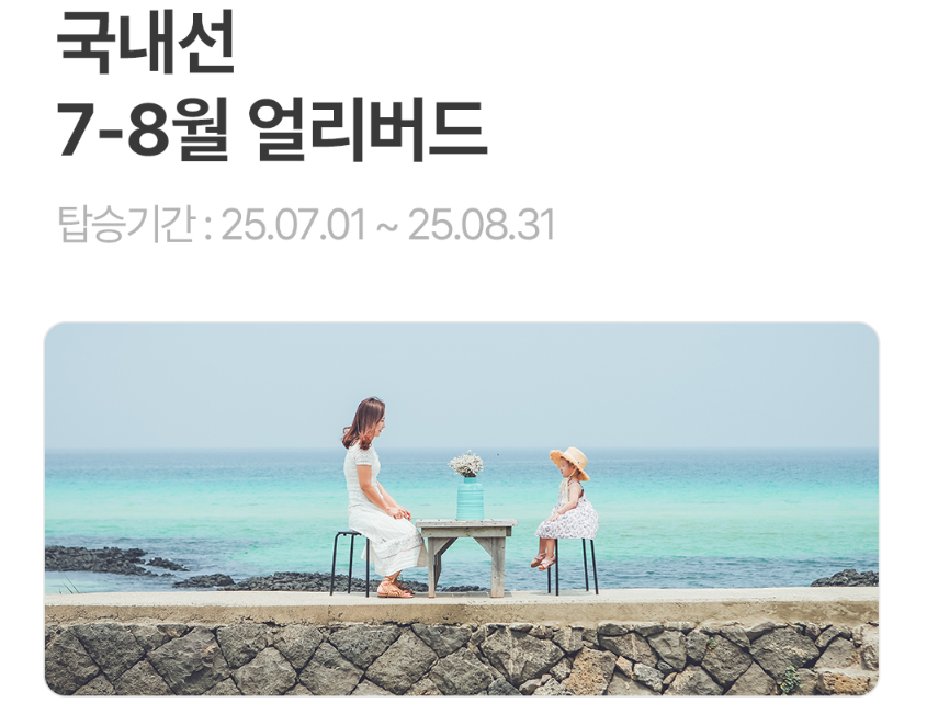 국내선