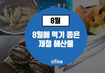 8월 제철 해산물과 7월 제철 해산물 종류 및 주의사항_4