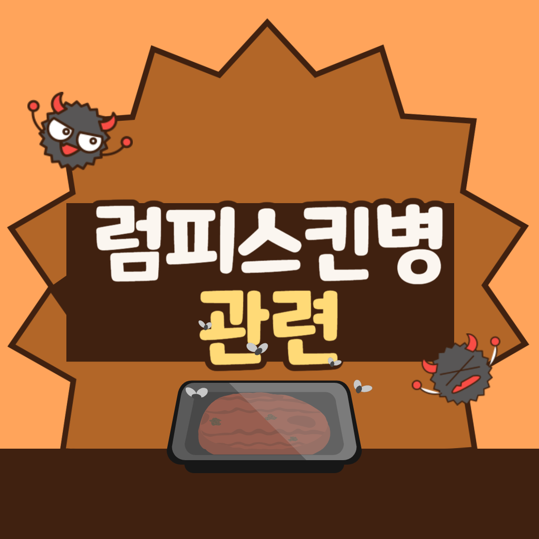 럼피스킨병_관련