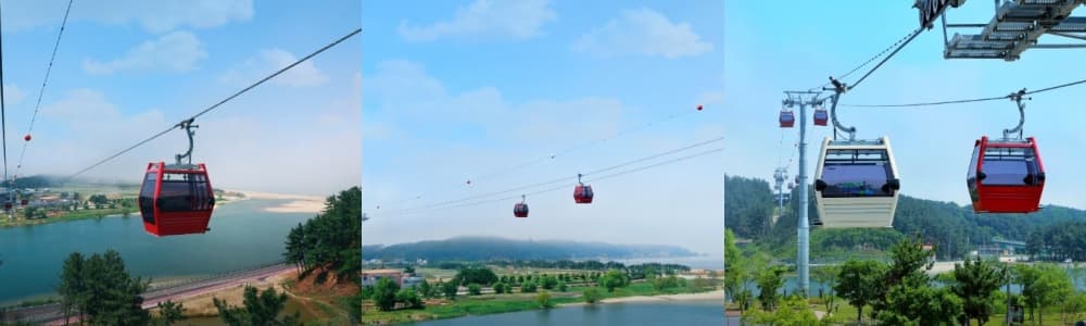 생생정보통 오늘방송(3월 5일) 맛집 바다마실,울진 왕피천 케이블카,울진왕피천공원,울진왕피천공원동물농장,울진금강송군락지