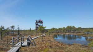 체메르 늪지대 전망대