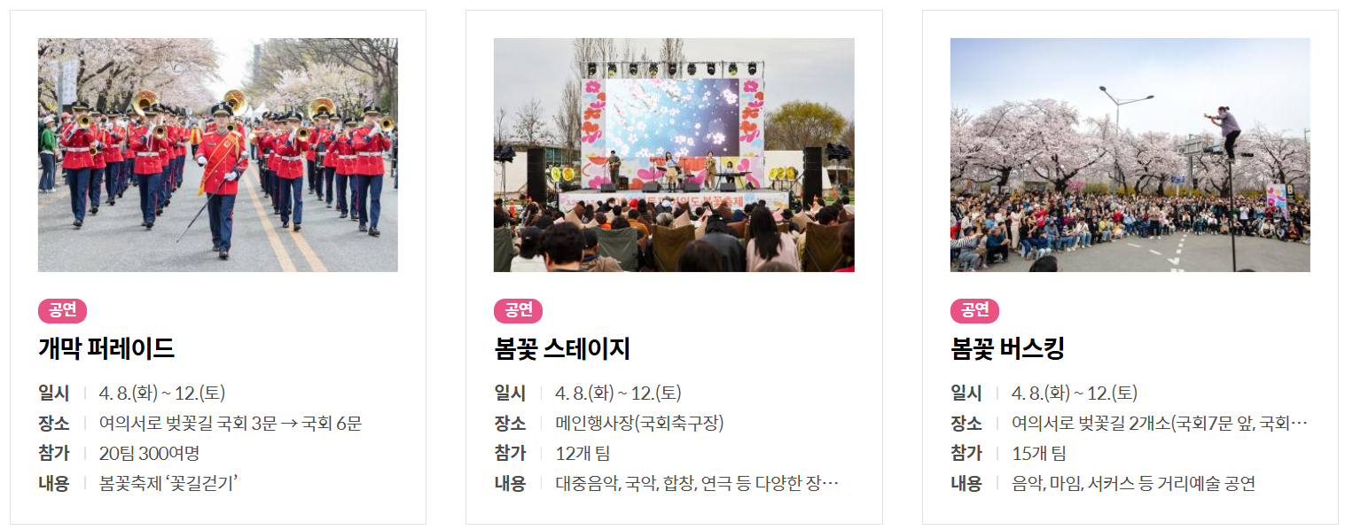 반려견과 함께 즐기는 2025 서울 벚꽃축제 TOP3!