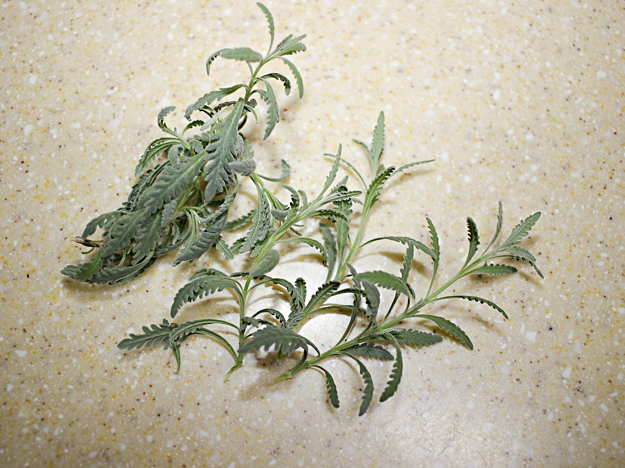 습기 돈 안들이고 잡는 꿀팁