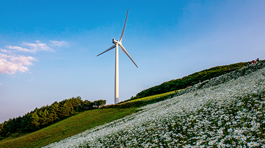 청옥산-육백마지기