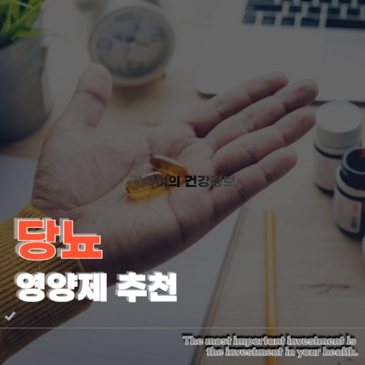 당뇨 영양제 추천