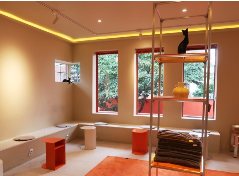 카페 곳곳에 고양이와 아누비스 오브제가 있다