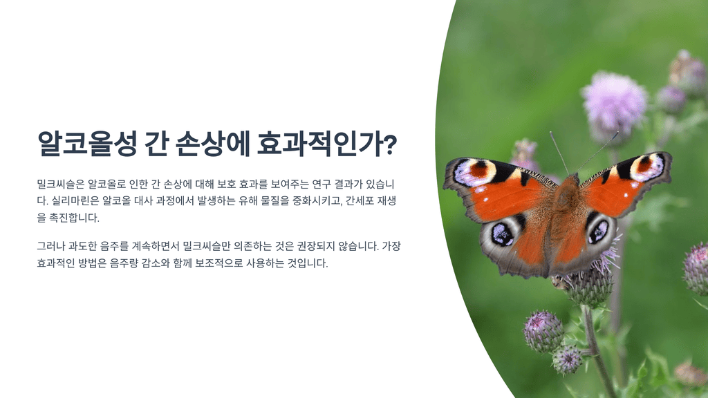알코올성 간 손상에 효과적인가?