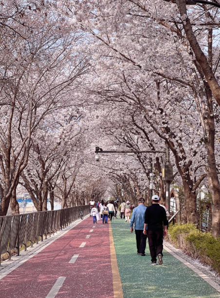 송정제방길 이미지