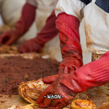 김장김치 40kg 양념 비율