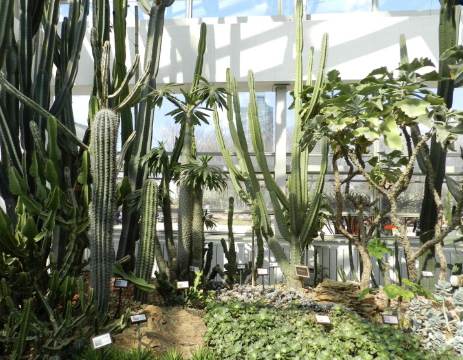 송은이·주우재 열애설