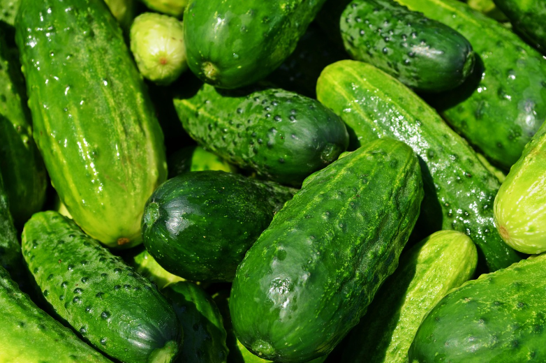 활력 높이는 여름 식단 (미네랄, 단백질, 제철채소)