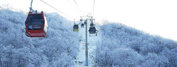 2025/2026 오투리조트 스키장 시즌권 렌탈 할인 완벽 가이드