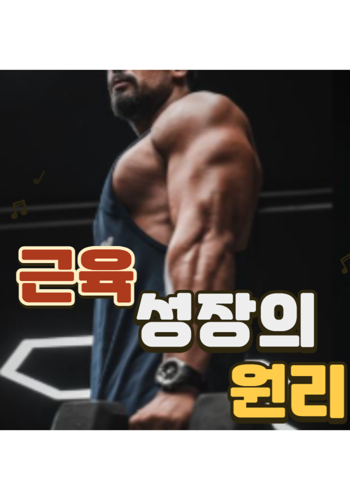 1.근육 성장의 원리