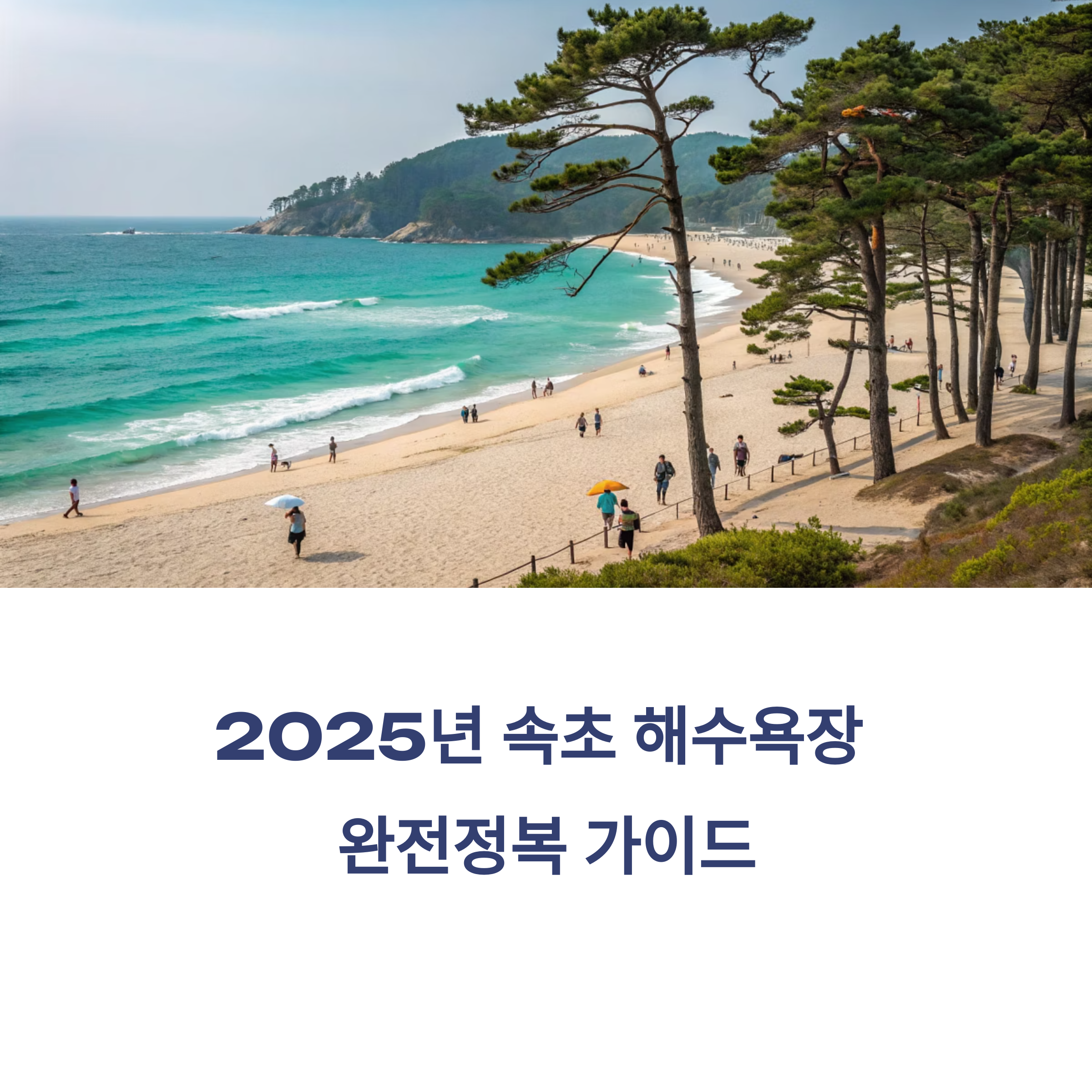 속초 해수욕장과 볼거리 완전정복, 2025년 최신 여행 코스 추천