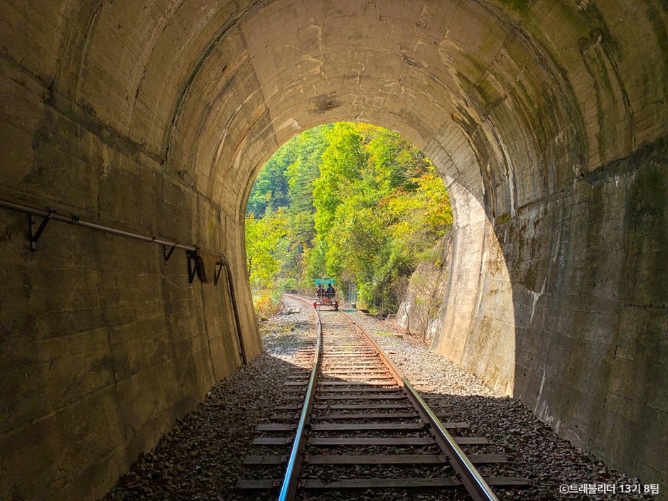 정선 레일바이크