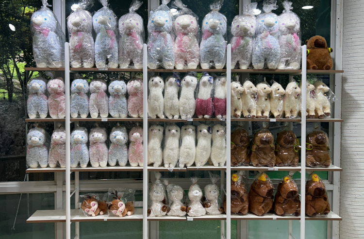 피나클랜드 수목원