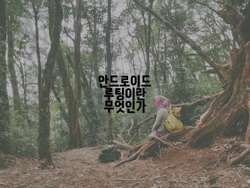 안드로이드 루팅이란 무엇인가