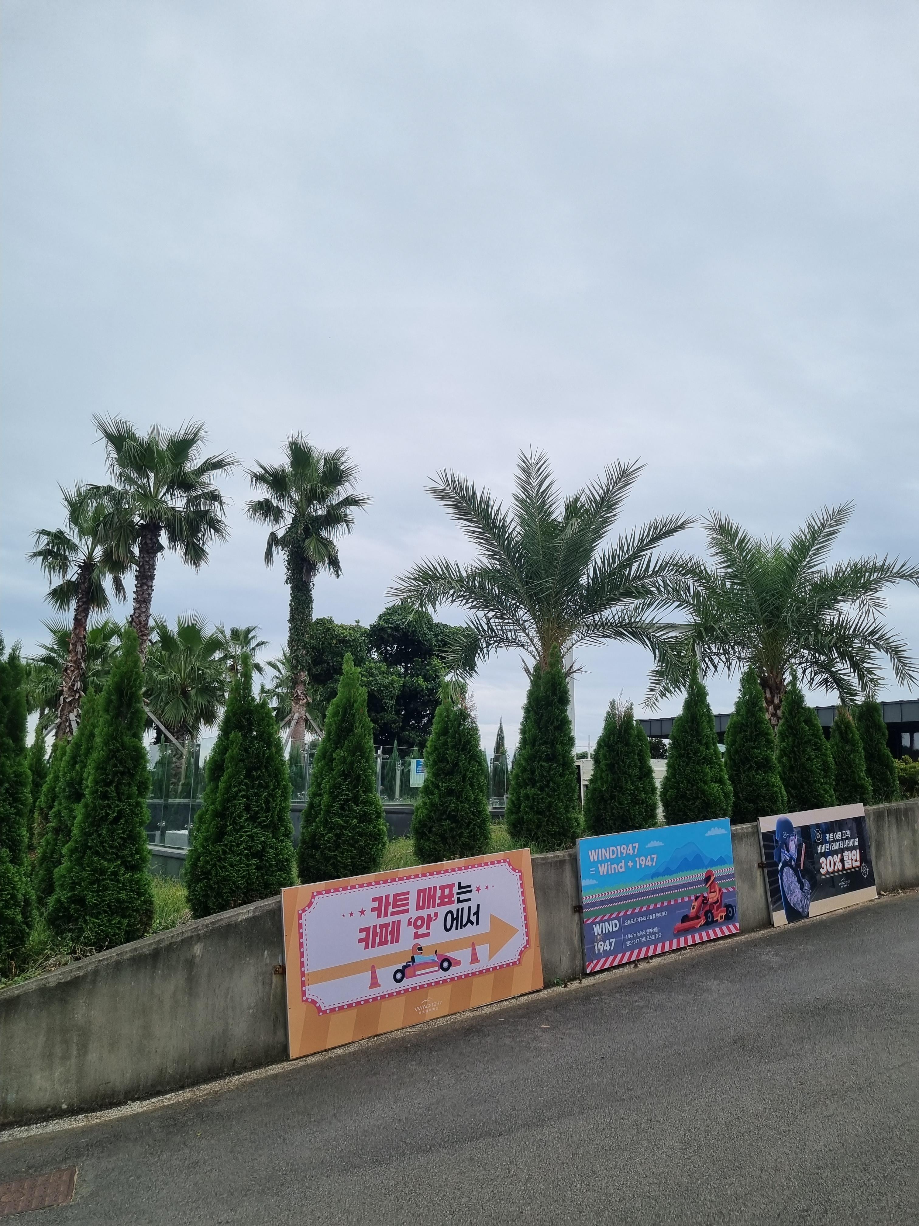 윈드 1947 카트 테마파크