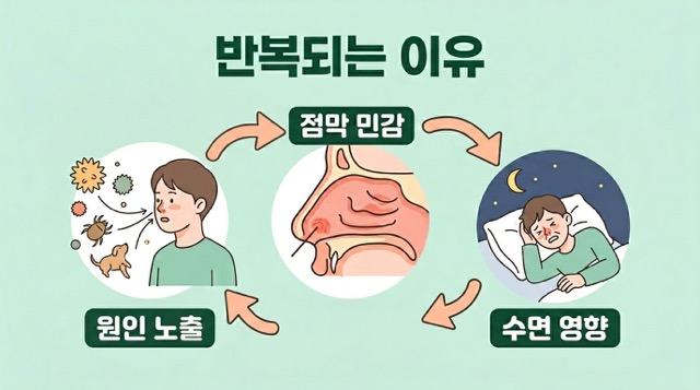 비염 증상이 반복되는 이유 원인 노출 코 점막 민감 코막힘