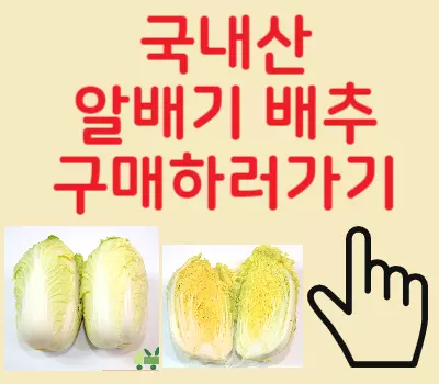 알배추구매
